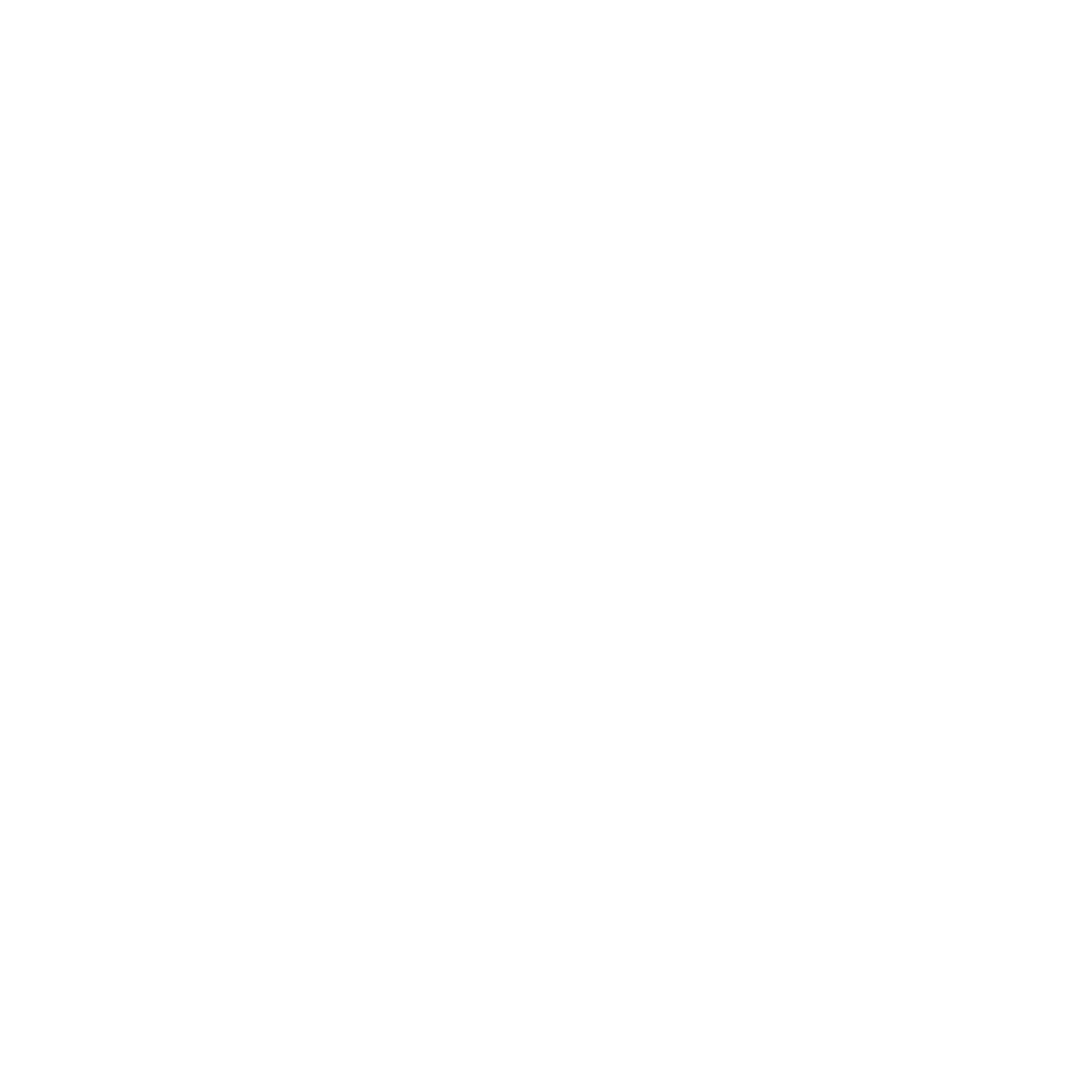 10 års garanti